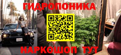 индика Пугачёв