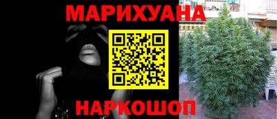 индика Пугачёв
